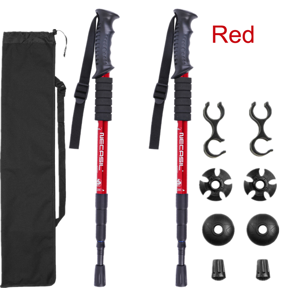 Canne de trekking télescopique - Trekking Pole Carbon avis et prix