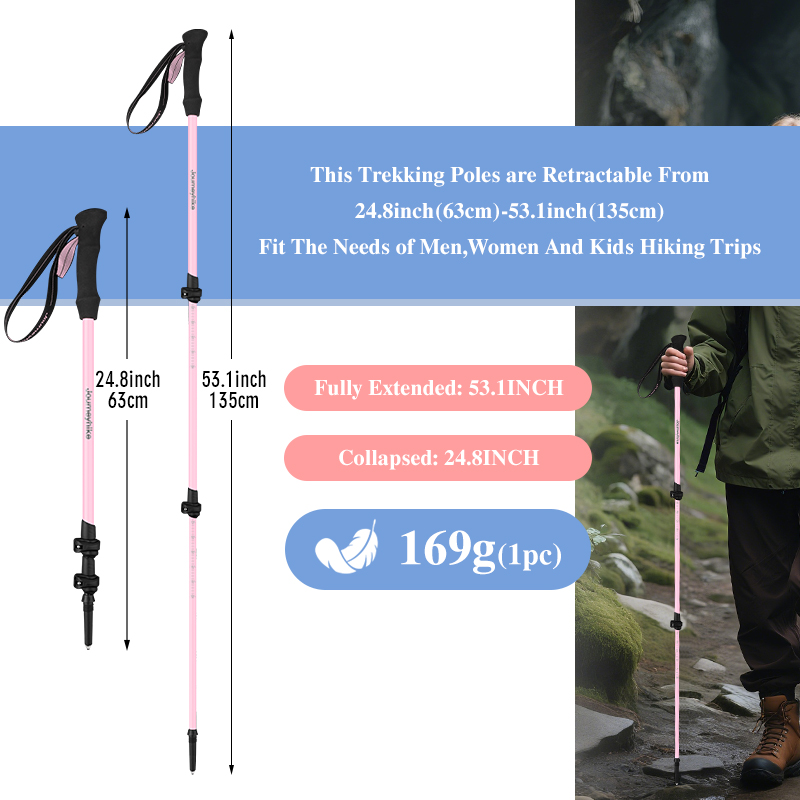 Bâtons de randonnée en fibre d - Trekking Pole Carbon avis et prix