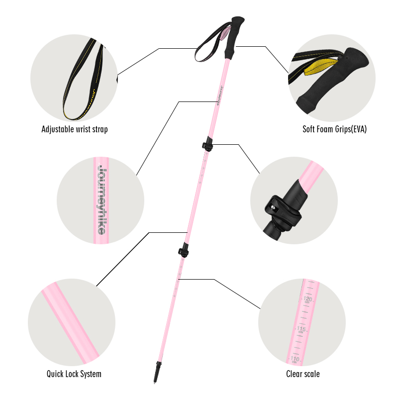 Bâtons de randonnée en fibre d - Trekking Pole Carbon avis et prix